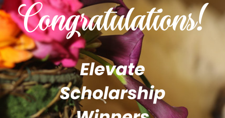 Scholarship Winners for Elevate Symposium